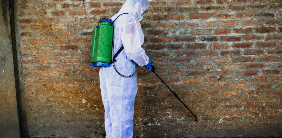 a person spraying chemicals to prevent pests from thriving